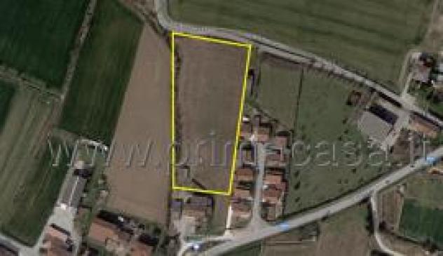 terreno agricolo in vendita a Cologna Veneta
