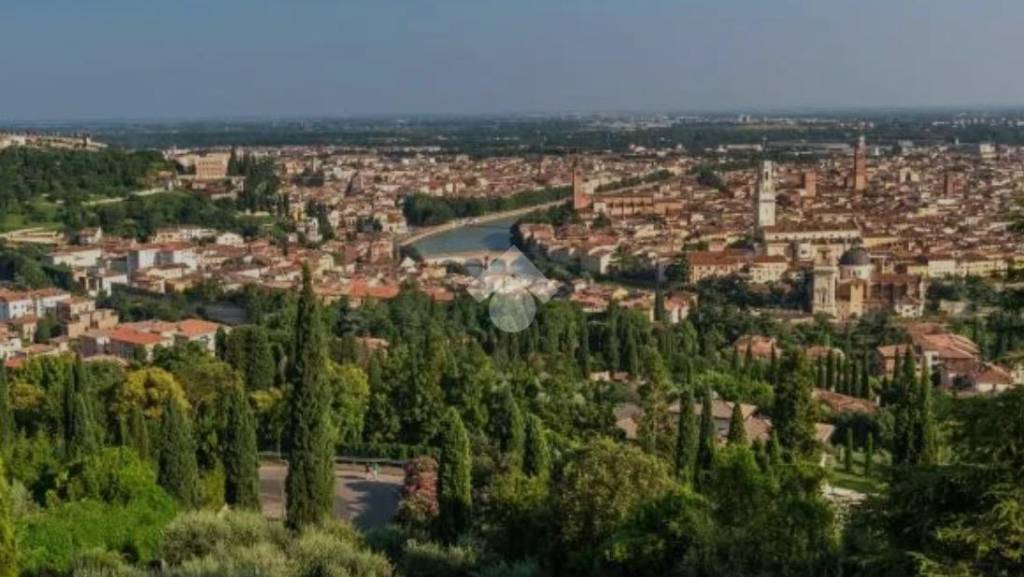 negozio in vendita a Cologna Veneta