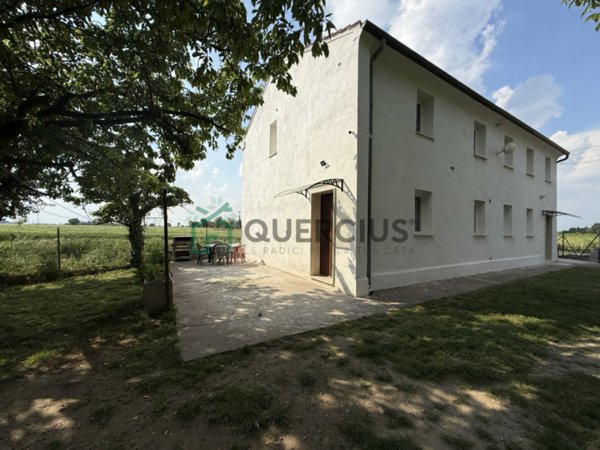 casa indipendente in vendita a Cologna Veneta