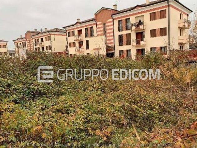 terreno agricolo in vendita a Cologna Veneta