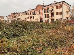 terreno edificabile in vendita a Cologna Veneta