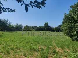 casa indipendente in vendita a Cologna Veneta in zona San Sebastiano