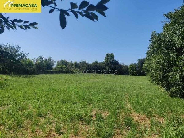 casa indipendente in vendita a Cologna Veneta in zona San Sebastiano