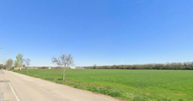 terreno agricolo in vendita a Cologna Veneta