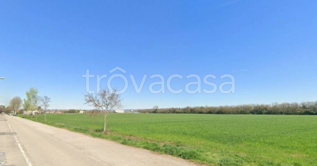 terreno agricolo in vendita a Cologna Veneta