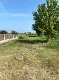 casa indipendente in vendita a Cologna Veneta
