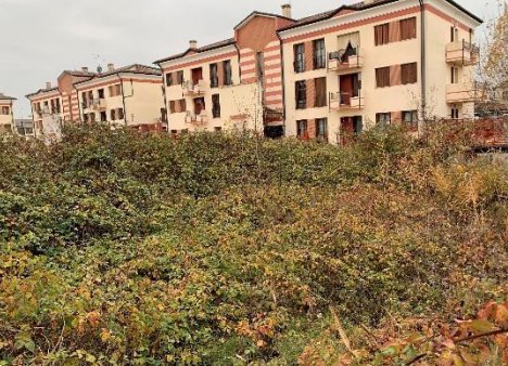 terreno edificabile in vendita a Cologna Veneta