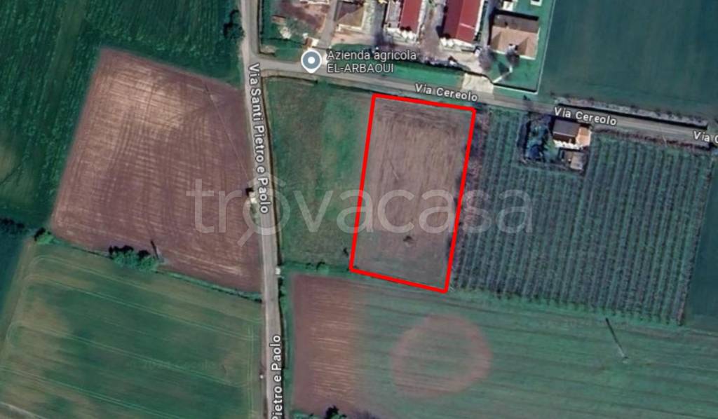 terreno agricolo in vendita a Cologna Veneta
