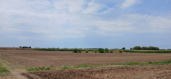 terreno agricolo in vendita a Cologna Veneta