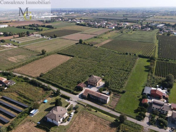 terreno agricolo in vendita a Cologna Veneta