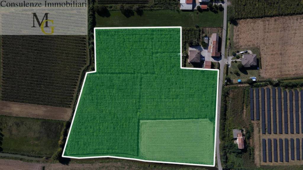 terreno agricolo in vendita a Cologna Veneta