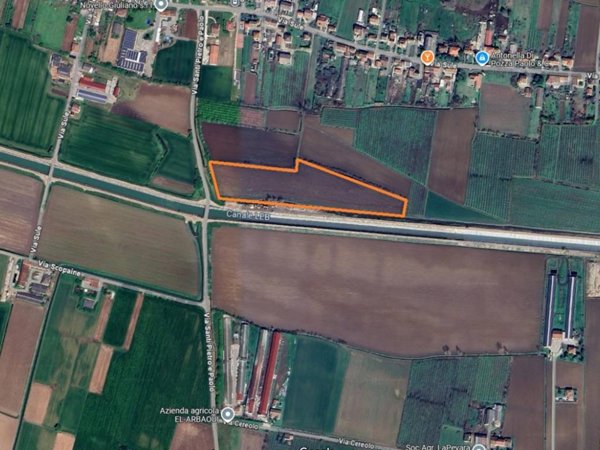terreno agricolo in vendita a Cologna Veneta
