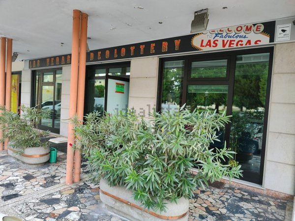ufficio in vendita a Cologna Veneta