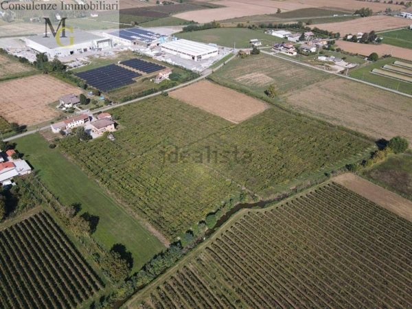 terreno agricolo in vendita a Cologna Veneta