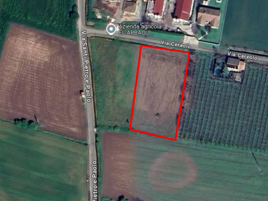 terreno agricolo in vendita a Cologna Veneta