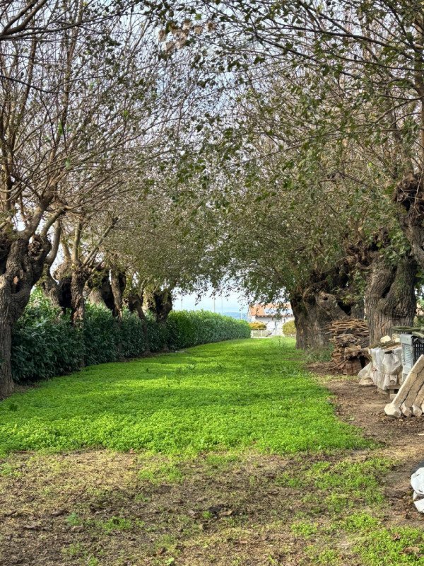 casale in vendita a Cologna Veneta in zona San Sebastiano