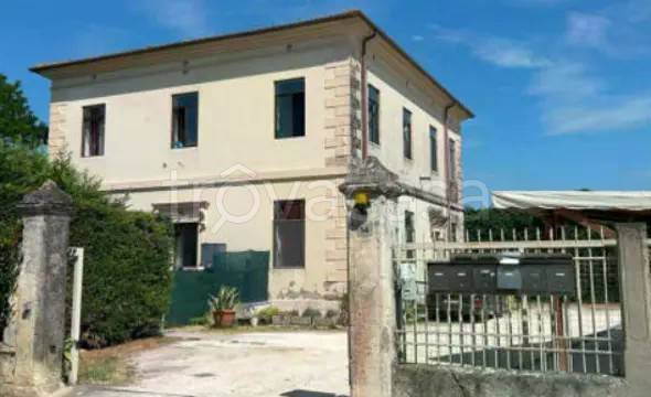 appartamento in vendita a Cologna Veneta