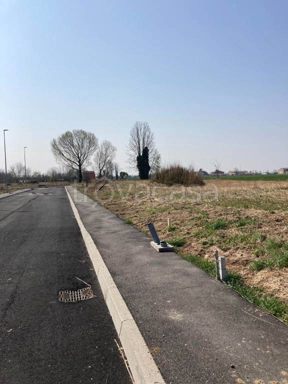 casa indipendente in vendita a Cologna Veneta