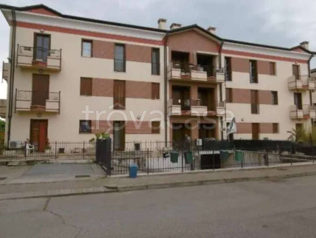 appartamento in vendita a Cologna Veneta
