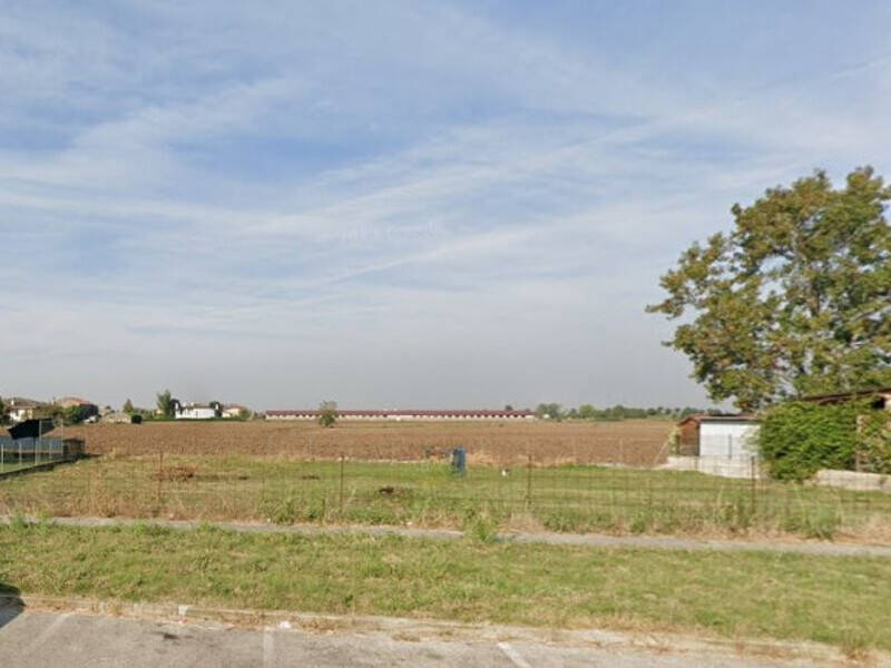 terreno agricolo in vendita a Cologna Veneta