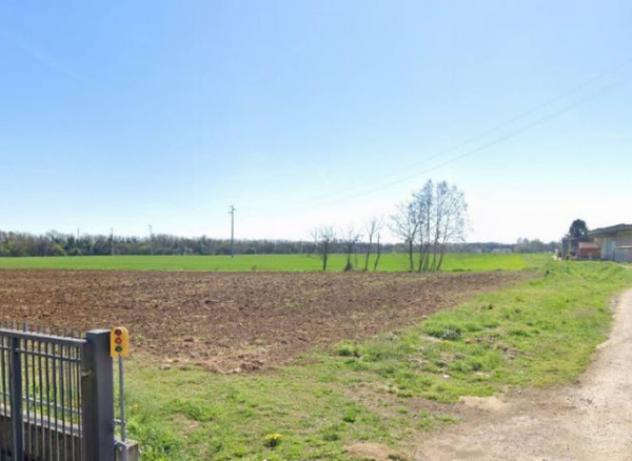 terreno agricolo in vendita a Cologna Veneta