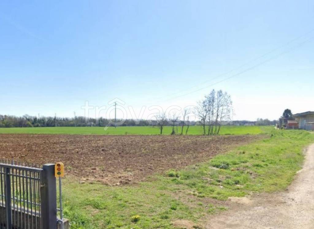 terreno agricolo in vendita a Cologna Veneta