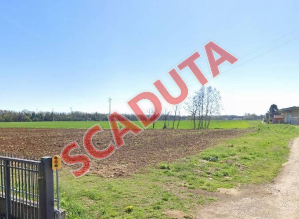 terreno edificabile in vendita a Cologna Veneta