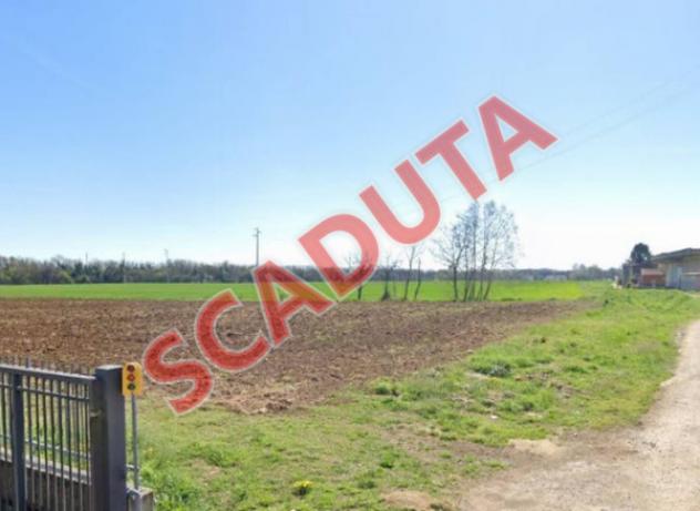 terreno edificabile in vendita a Cologna Veneta