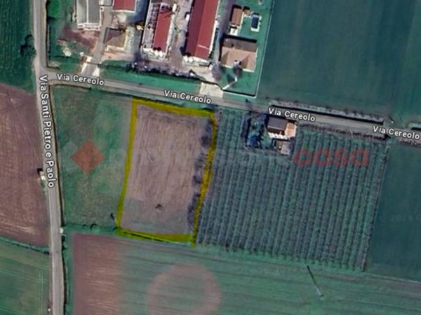 terreno agricolo in vendita a Cologna Veneta