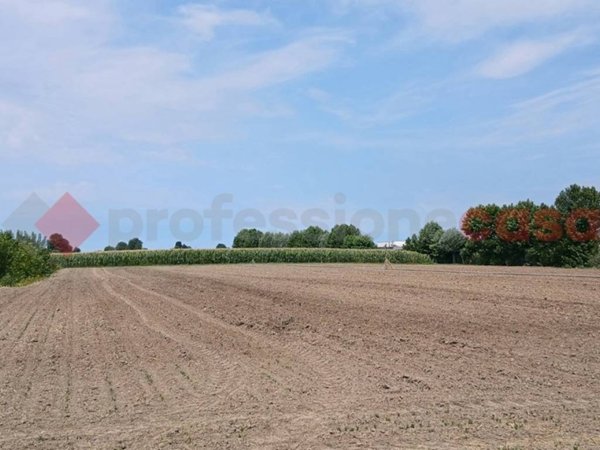 terreno agricolo in vendita a Cologna Veneta