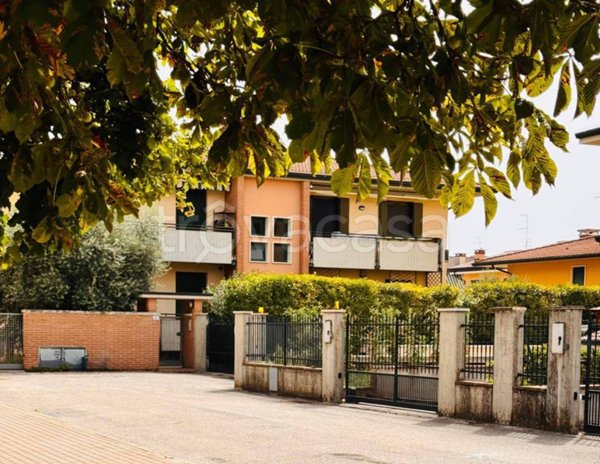 appartamento in vendita a Cologna Veneta