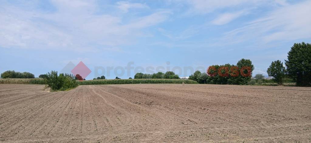 terreno in vendita a Cologna Veneta