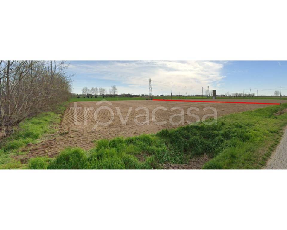 terreno in vendita a Cologna Veneta