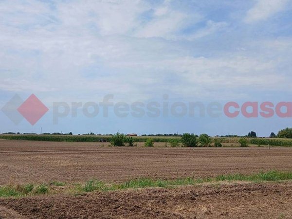 terreno in vendita a Cologna Veneta