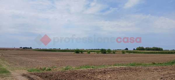 terreno in vendita a Cologna Veneta