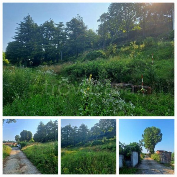 terreno edificabile in vendita a Colognola ai Colli