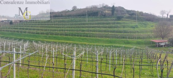 terreno agricolo in vendita a Colognola ai Colli