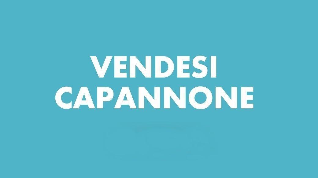 capannone in vendita a Colognola ai Colli in zona Stra