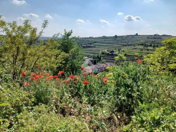 terreno agricolo in vendita a Colognola ai Colli