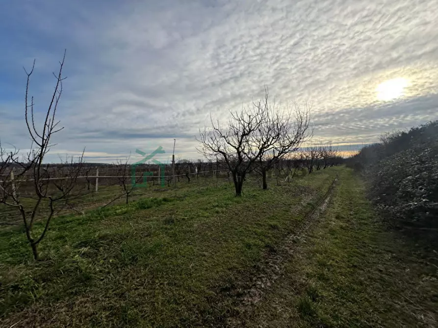 mansarda in vendita a Colognola ai Colli