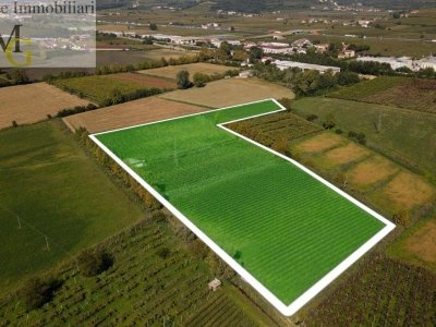 terreno agricolo in vendita a Colognola ai Colli