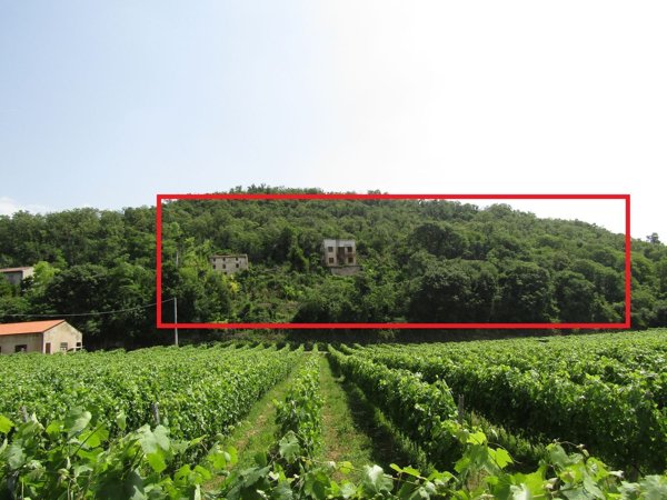 casa indipendente in vendita a Colognola ai Colli