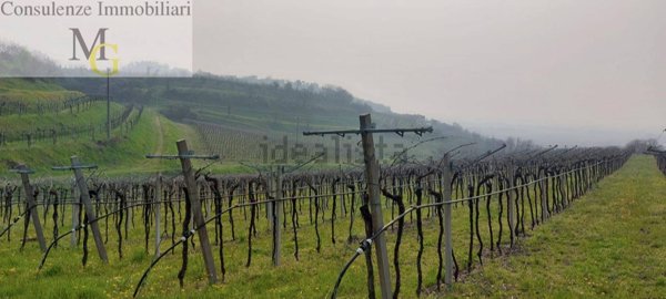 terreno agricolo in vendita a Colognola ai Colli
