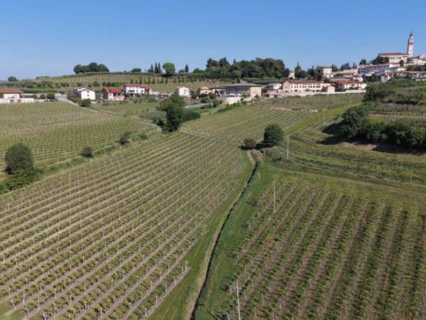 terreno agricolo in vendita a Colognola ai Colli