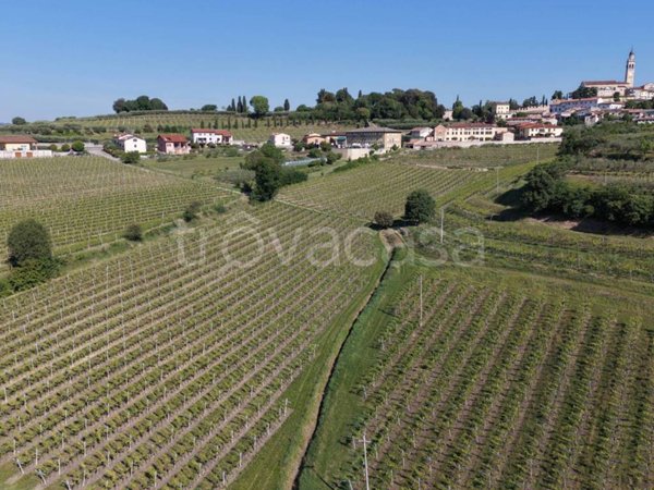 terreno agricolo in vendita a Colognola ai Colli