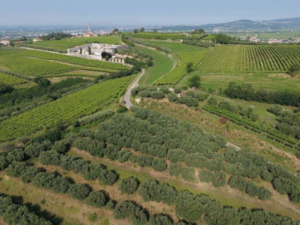 terreno agricolo in vendita a Colognola ai Colli