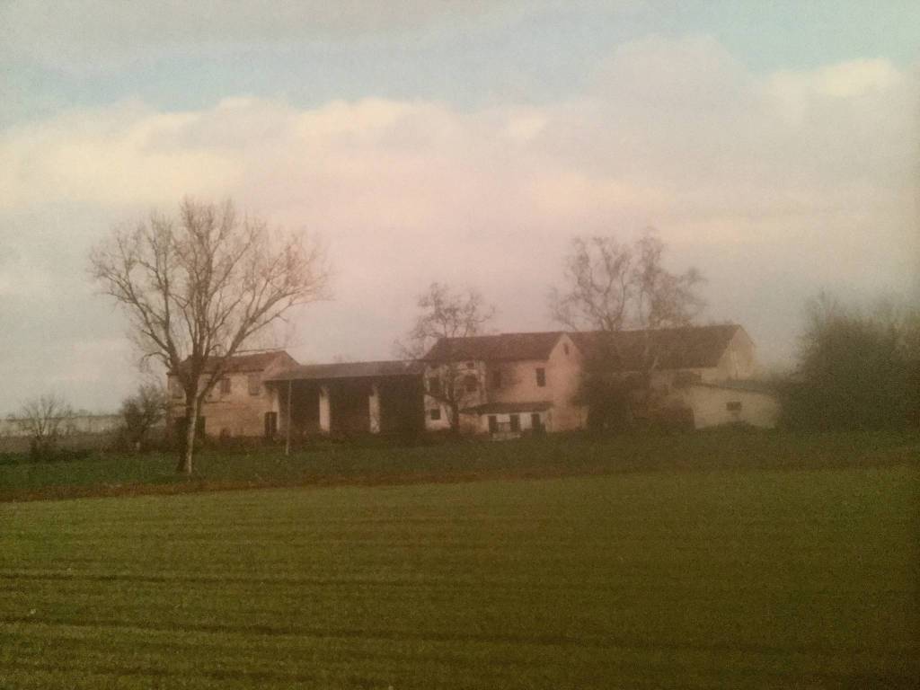 casa indipendente in vendita a Concamarise