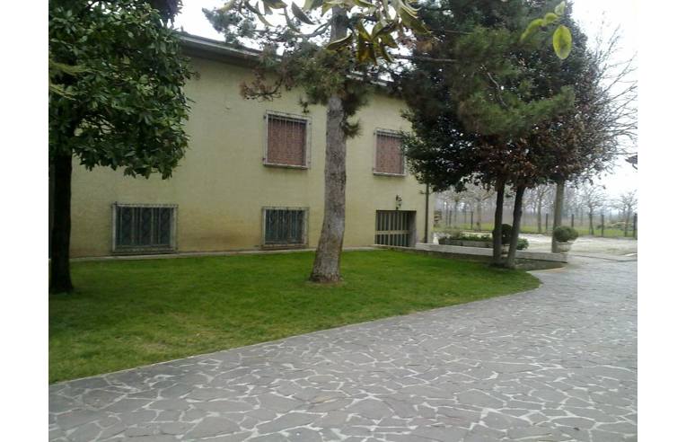 casa indipendente in vendita a Concamarise