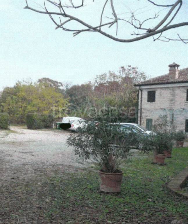 appartamento in vendita a Concamarise