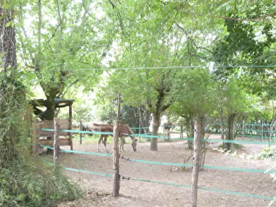 appartamento in vendita a Concamarise